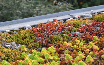 the cost of Gunn green roof installation